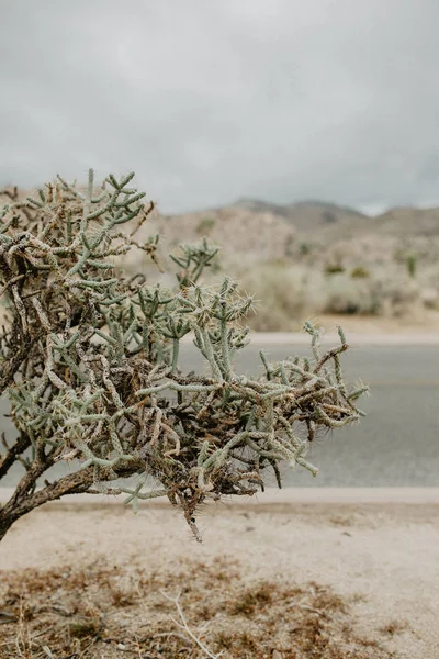 Пейзаж Долины Пустыни Скалами Горами — стоковое фото