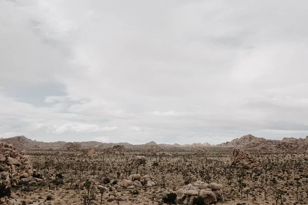 Desert Sandy Soil Hills Mountains — Stock Photo, Image