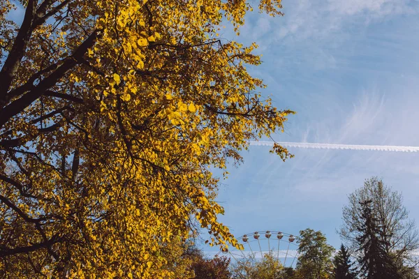 Mavi Gökyüzü Atlı Karıncaya Sonbahar Sezonu Renkli Ağaçlar — Stok fotoğraf