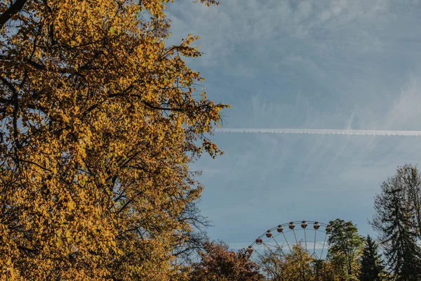 Mavi Gökyüzü Atlı Karıncaya Sonbahar Sezonu Renkli Ağaçlar — Stok fotoğraf
