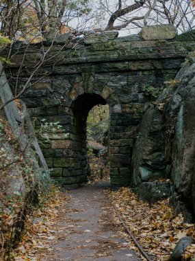  sonbahar park güneşli gün köprü