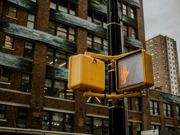 View on traffic light and building in USA