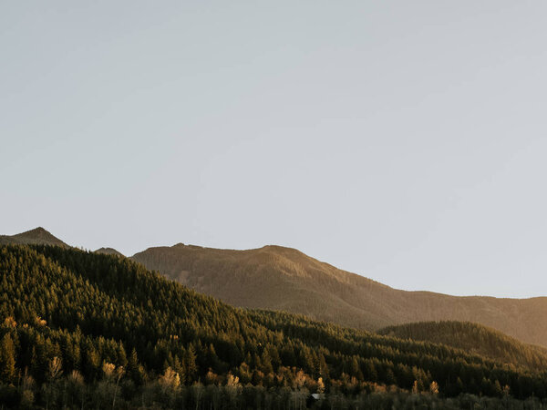 Scenic view of pine forest and mountains