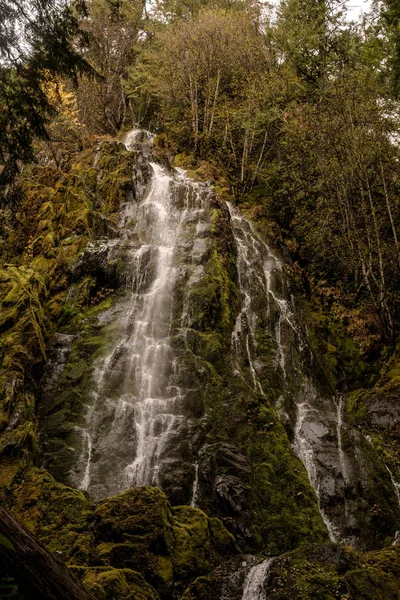 Vackra Vattenfall Skogen Natur Landskap — Stockfoto