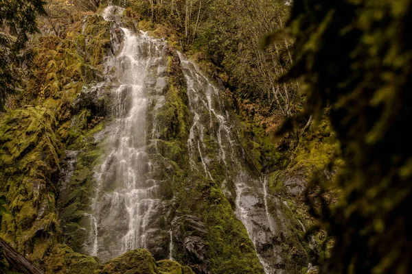 Vackra Vattenfall Skogen Natur Landskap — Stockfoto