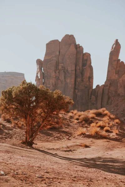 View Red Rock Canyon Usa — Stock Photo, Image