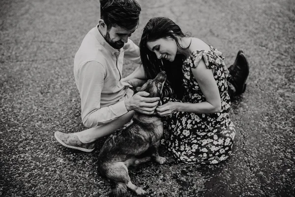 Portrait Jeune Couple Amoureux Embrasser Avec Chien Dans Domaine — Photo