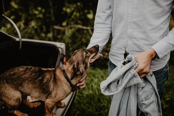 Araba alanında köpeğe olan adam portresi
