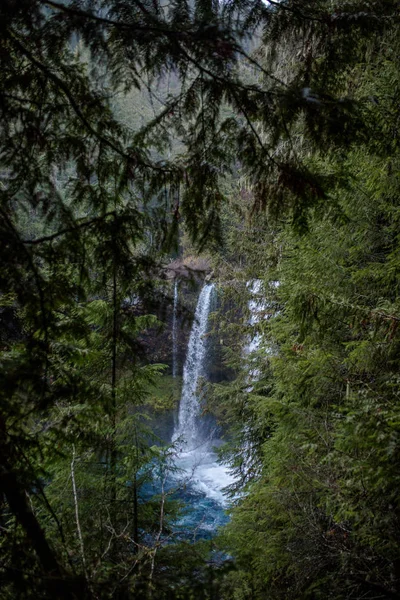 Vattenfall Frisk Och Grön Skog — Stockfoto