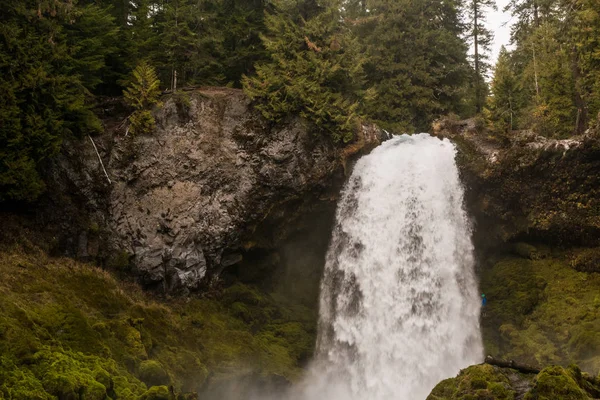 Waterval Verse Groene Woud — Stockfoto