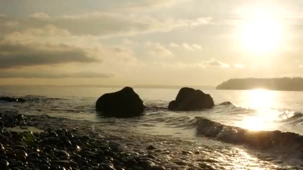 Coucher de soleil doré dans l'eau — Video