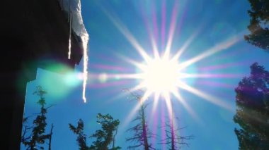 Güneş ve kar eritme buz sarkıtları. Bahar kavramı