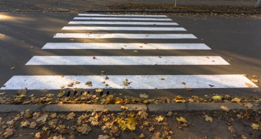 yaya geçidi veya zebra trafik yürüyüş yolu düşen sarı yapraklar ile