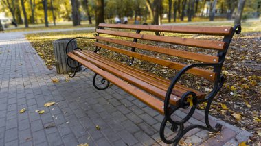 Sonbahar parkında bankta. Sonbahar manzarası