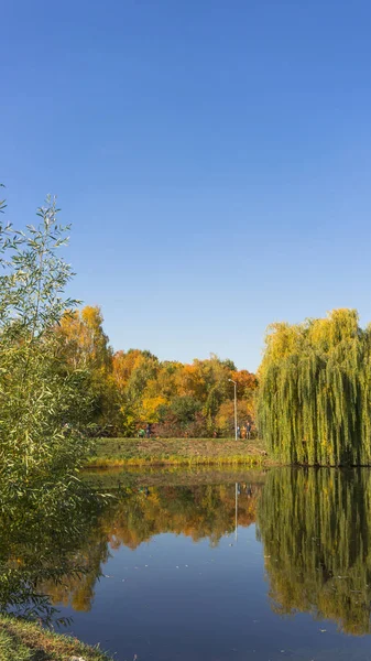 Güzel sonbahar renkleri bir gölet yansıtır. Sonbahar park .