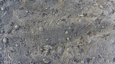 Çim Park'ta sıfır sıcaklığının altında sabah zemin. Üstten görünüm arka plan