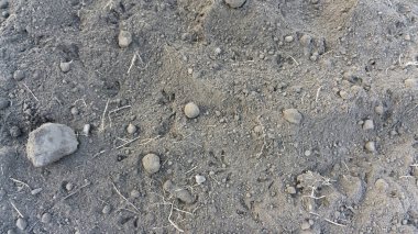 Çim Park'ta sıfır sıcaklığının altında sabah zemin. Üstten görünüm arka plan