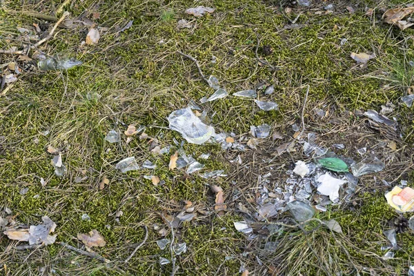 Шкаралупи розбитого скла на моху землі в лісі — стокове фото