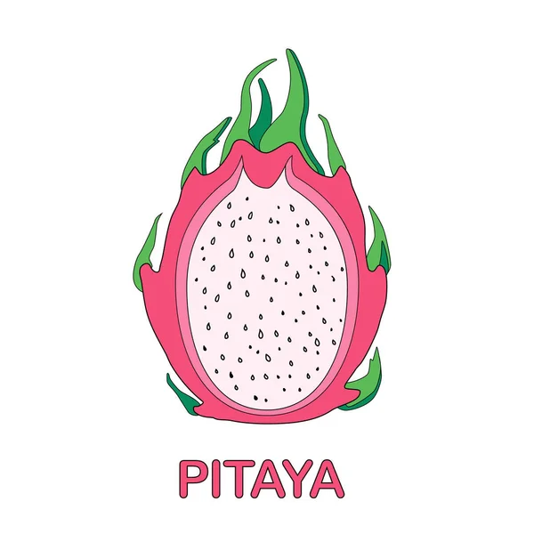 Buah Naga Pitaya - Stok Vektor