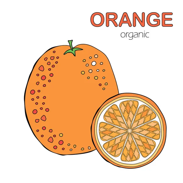 Naranja Fruta Naranja — Archivo Imágenes Vectoriales