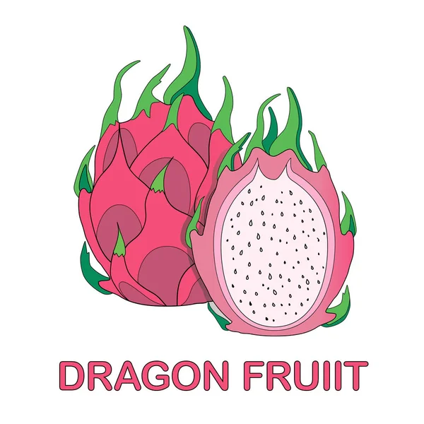 Dragon Fruit Pitaya — Stock Vector