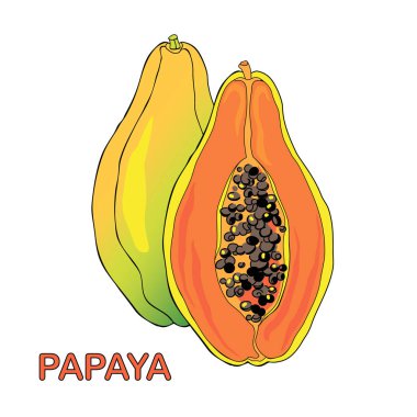 Papaya meyve karikatür