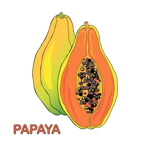 Мультфильм о фруктах папайи — стоковый вектор