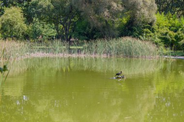 Bursa Botanik Parkı, Türkiye