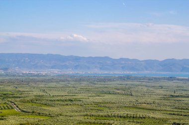 Iznik Gölü ve Iznik, Bursa, Türkiye, çiftlikleri zeytin ağaçları