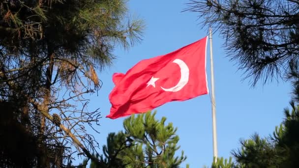 Τουρκική Σημαία Κυματίζει Στο Μπλε Του Ουρανού Τουρκία — Αρχείο Βίντεο