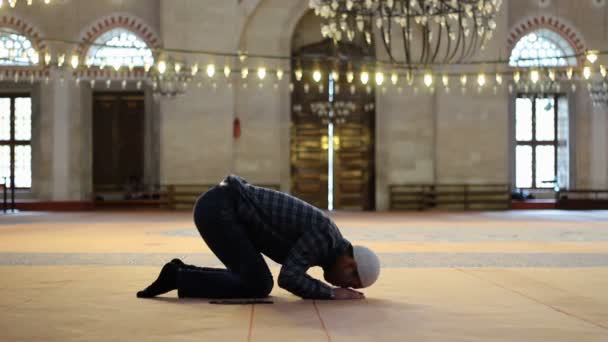年轻的成人白种人在清真寺祈祷 — 图库视频影像