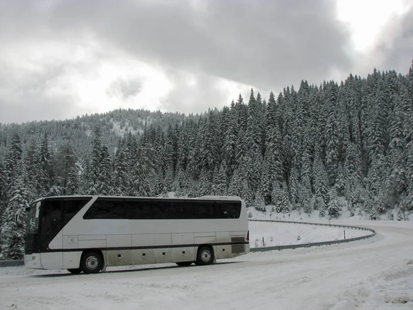 Passenger bus on snowy and wooded mountain road