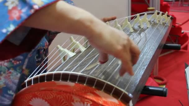 Γυναίκα Koto Ιαπωνικό Παραδοσιακό Όργανο Φόρεμα Κιμονό Παίζει — Αρχείο Βίντεο