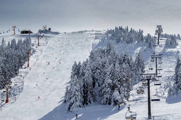 冬のスキー リゾート スキー場のリフト スキーの人々 ウルダー山 ブルサ トルコ — ストック写真