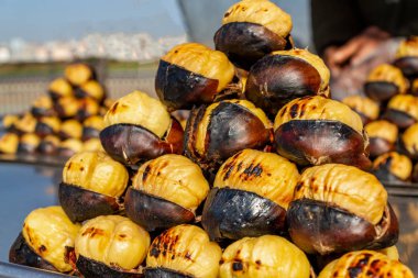 Türk sokak gıda, kestane ızgara kavurma. Yakın çekim