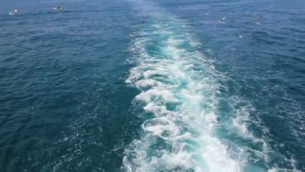 Vagues Derrière Navire Mer — Video