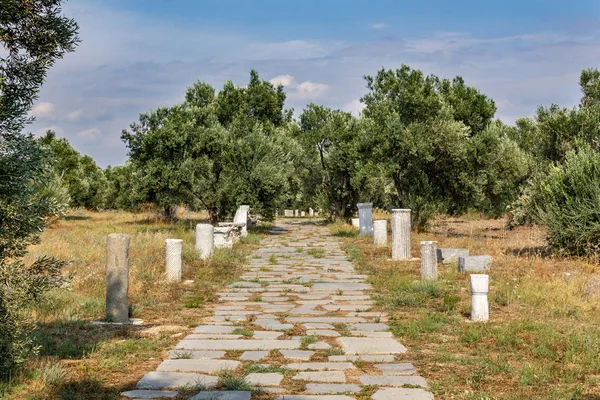 Yaşlılık antik Roma yolu ve antik Roma taş sütunları. Zeytin ağaçları