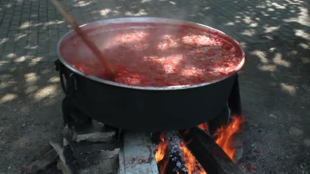 Tradicional Fazer Pasta Tomate Caldeira Com Fogo Madeira Aldeia — Vídeo de Stock