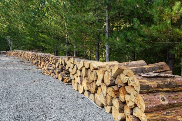 Trees cut in the forest. Tree stumps stacked. Destruction of forests