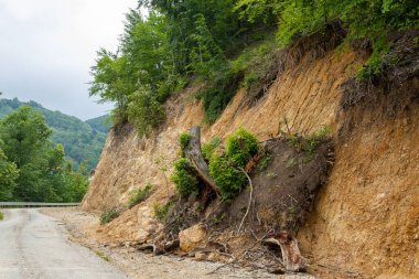 Orman yolunda heyelan