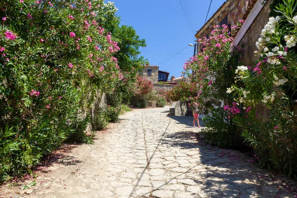 Adatepe, Ayvacik, Canakkale / Türkiye - 18 Temmuz 2020: Kaz Dağlarındaki Eski Adatepe Köyü (Ida)