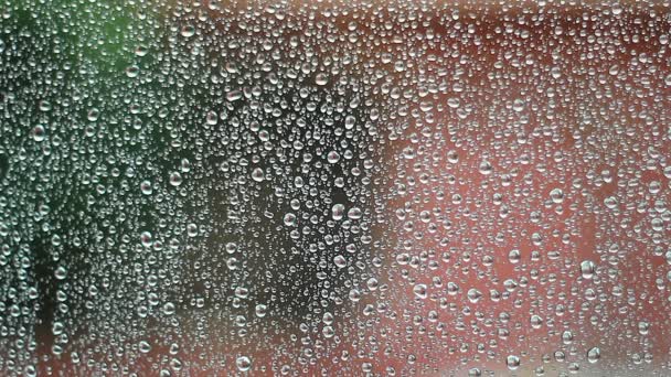 Gouttes Eau Pluie Sur Fenêtre Verre — Video