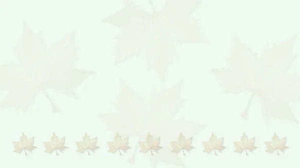 İyi opak akçaağaç menüler, afiş, davetiye, ileti örneği, Noel kartları vb yapımında kullanılmak üzere lief birkaç Kurutulmuş yaprak yeşil bir arka plan