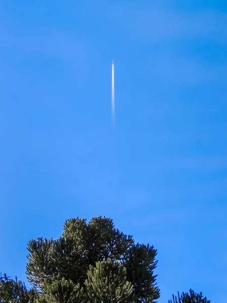 Green Canopy Tree Foreground Light Blue Sky Cut Airplane Quick — Stock Photo, Image