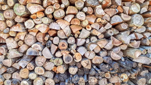 Birçok mayo ile kahverengi dokulu ahşap duvar güzel bir açık görünümü dikey içinde sıkışmış