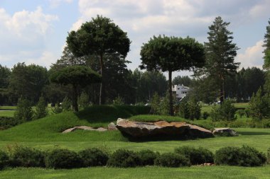 Parkta üç yeşil bonsais.