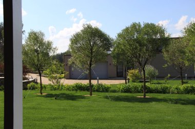 Birkaç güzel bahçe ağaçlarında.