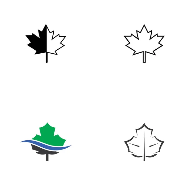 Şekillendirilmiş Sonbahar Akçaağaç Yaprağı Logosu Simgesi — Stok Vektör
