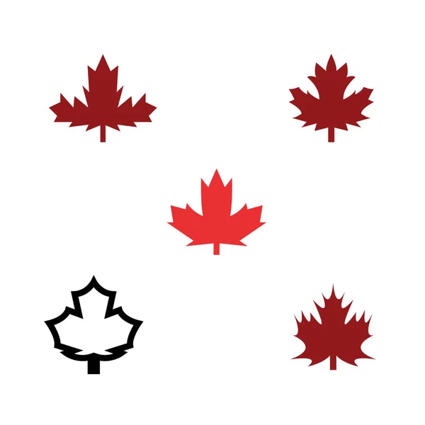 Stylized Autumn Maple Leaf Foliage Logo Icon — Stock Vector