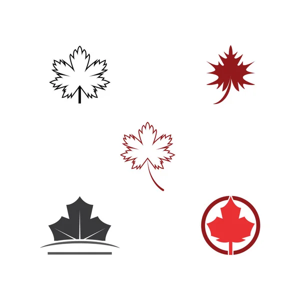 Stiliserad Höst Maple Leaf Foliage Logotyp Ikon — Stock vektor